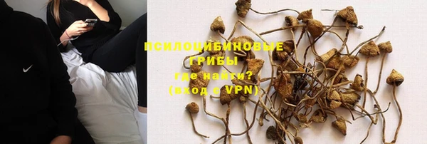 мяу мяу мука Армянск