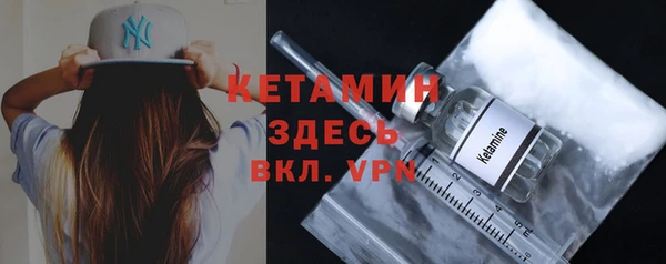 шишки Арсеньев