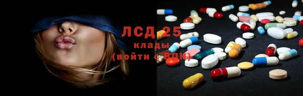 шишки Арсеньев