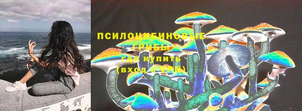 мяу мяу мука Армянск
