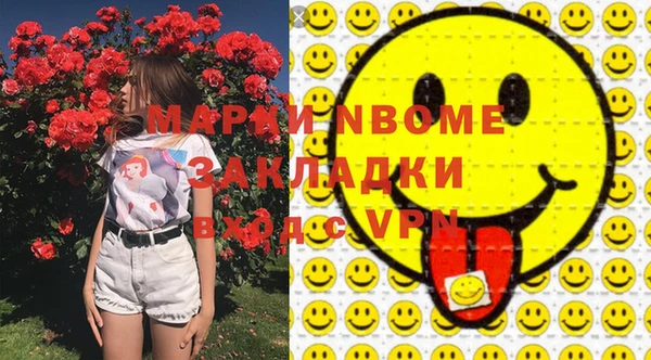 шишки Арсеньев