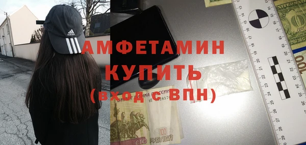 шишки Арсеньев
