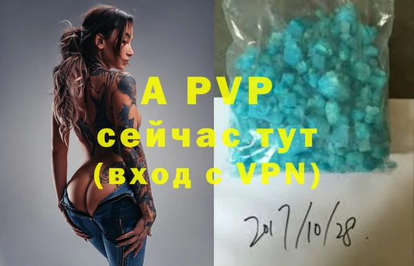 шишки Арсеньев