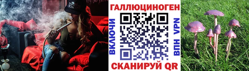 Галлюциногенные грибы Psilocybine cubensis  продажа наркотиков  Струнино 